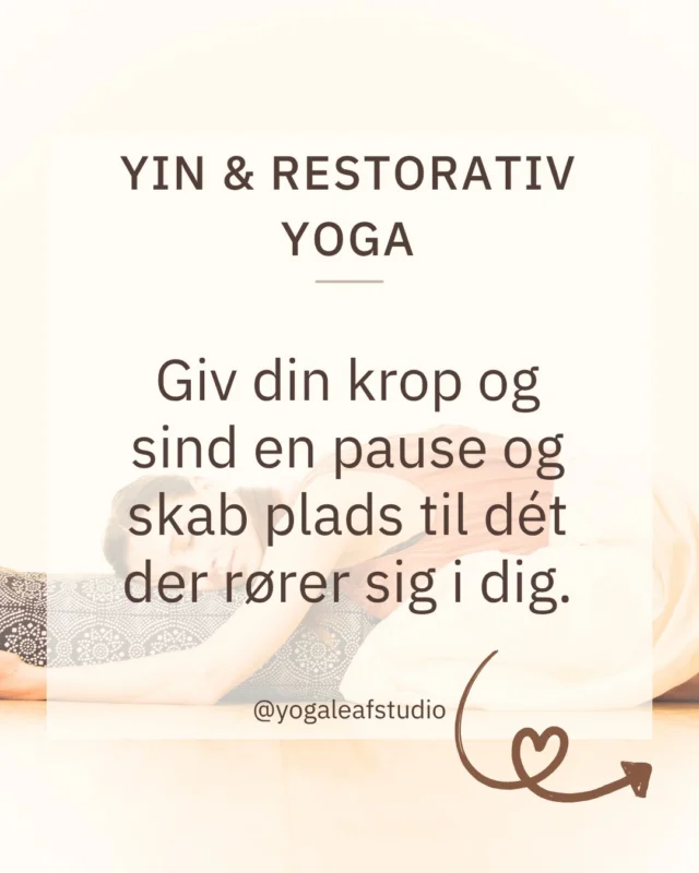 Yoga Leaf — yoga-studio i Holbæk — bild 5
