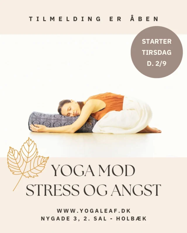 Yoga Leaf — yoga-studio i Holbæk — bild 3